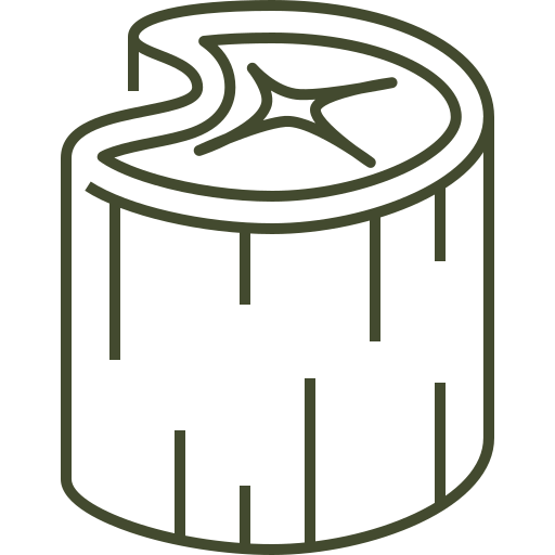 Icon of a cylindrical object with a star-like top on a white background