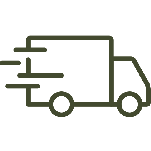 Icon of a delivery truck with speed lines, indicating fast delivery.